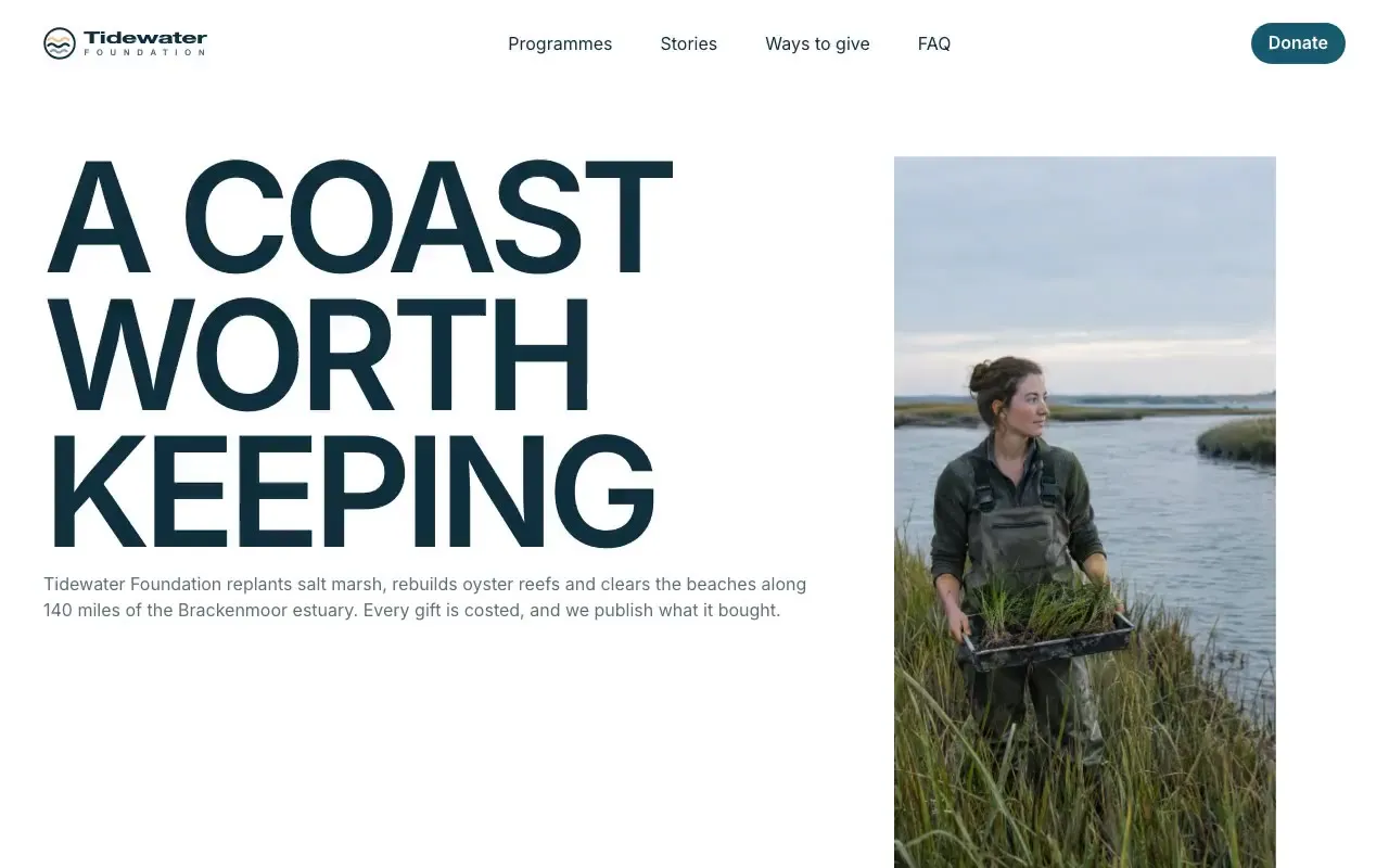 Tidewater Foundation website hero, one of the charities and nonprofits sites we shipped